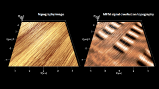 Tapping mode topography (left) and magnetic force microscopy overlaid on topography (right) images of the surface of a harddrive platter. MFM reveals the hidden bits of information stored by magnetizing small regions of a ferromagnetic film.