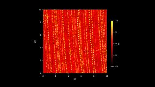 Single wall carbon nanotubes transferred to an elastic PDMS substrate, then laterally compressed, causing the nanotubes to buckle into waves