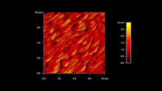 Atomic steps on a palladium surface