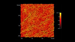 Finely detailed surface of biaxially-oriented polypropylene (BOPP)