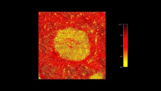 Phase image of a styrene-ethylene-butylene-styrene (SEBS) triblock copolymer