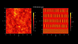 Surafece topography (left) and magnetic field (right) images of the surface of a magnetic ZIP disk